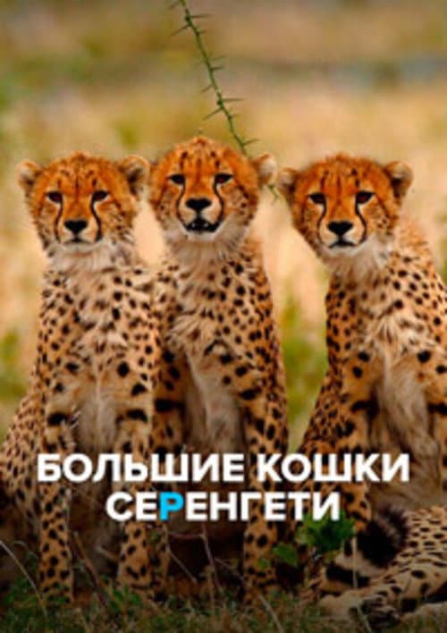 Большие кошки Серенгети