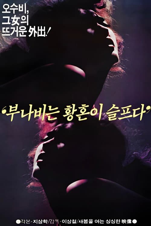 부나비는 황혼이 슬프다