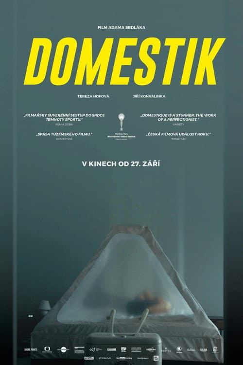 Домашний режим