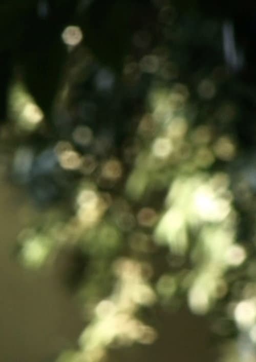 Glimmering