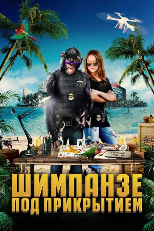 Шимпанзе под прикрытием
