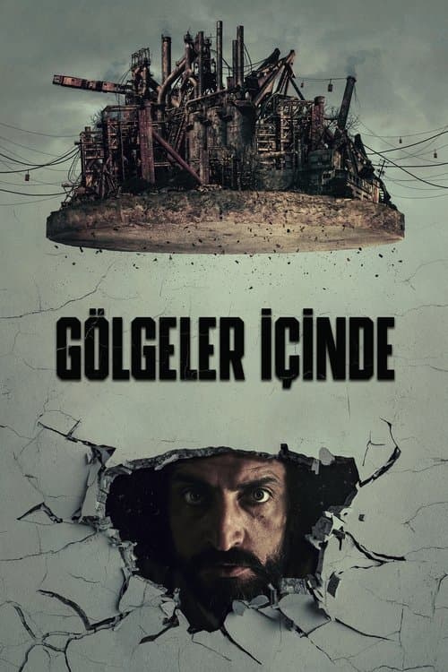 В тени