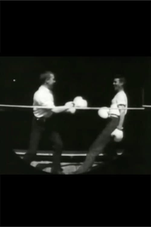 Men Boxing