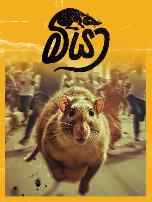 මීයා