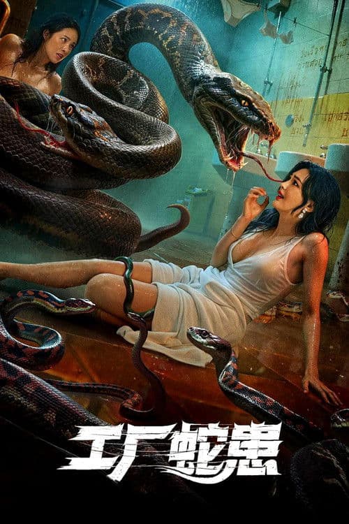 工厂蛇患