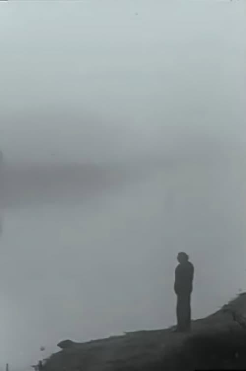 Aviečių laukai