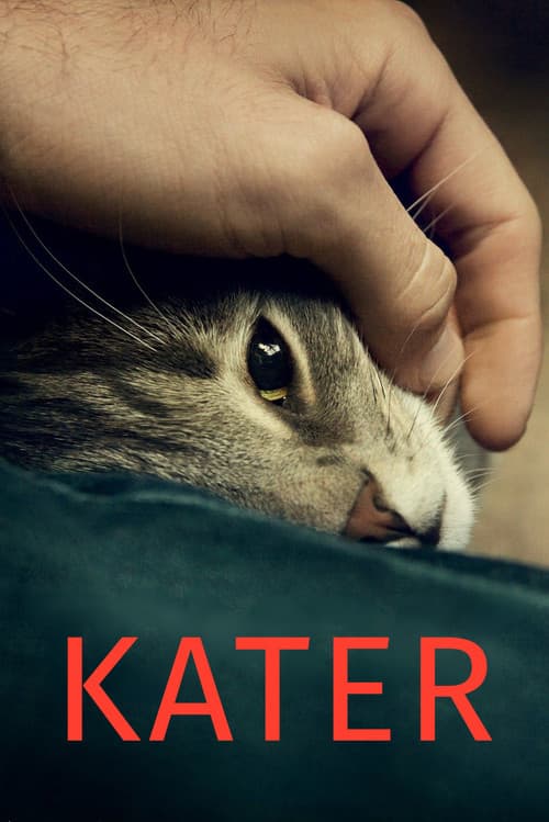 Кот