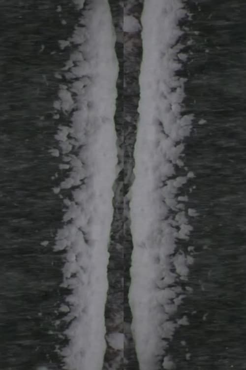 Snow Fall
