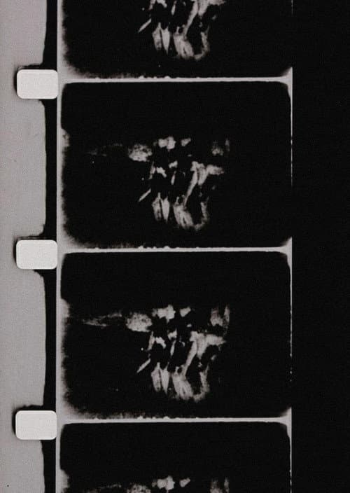 Studies in Image (de) Generation