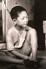 정찬조