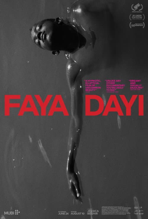 Файя дайи