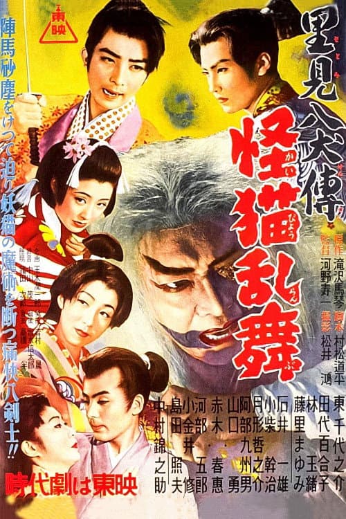 里見八犬傳 第三部 怪描乱舞