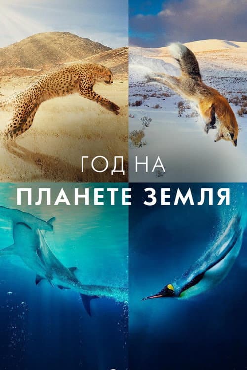 Год на планете Земля