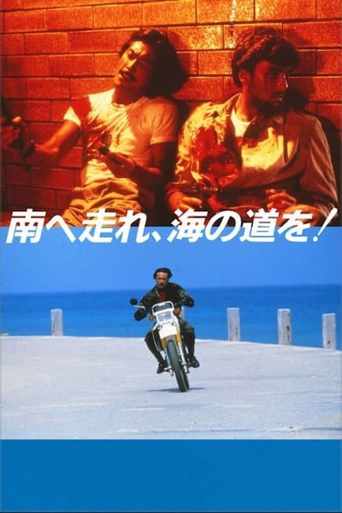 南へ走れ、海の道を!