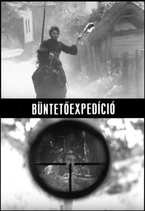 Büntetöexpedíció