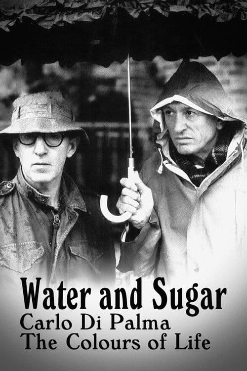 Water and Sugar โ Carlo Di Palma: The Colours of Life